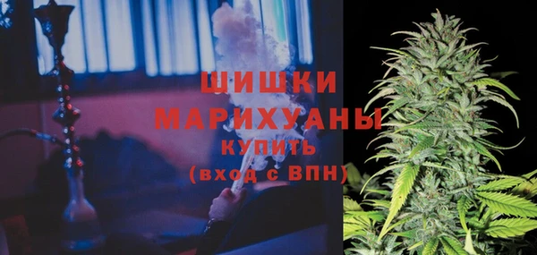 сатива Алексин