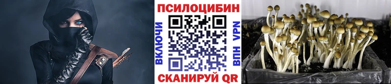 Псилоцибиновые грибы Psilocybine cubensis Киселёвск